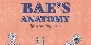 Bae's Anatomy