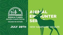 Animal Encounter Series: New Hampshire Wildlife