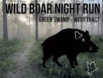 Wild Boar Night Run