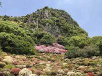 Mifuneyama Rakuen Flower Festival