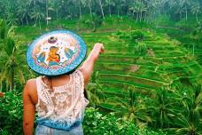 Ubud: Waterfall, Rice Terraces & Monkey Forest Private Tour