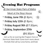 Bat Night - Harriman State Park