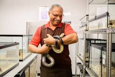 Live Snakes with Roy Scudder-Davis