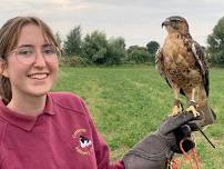 Flying Start Experiences at Cotswold Falconry Centre