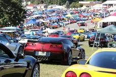 Corvette Showcase