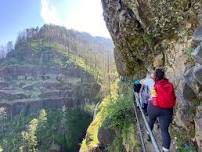 The Hanging Gardens of the Gorge – Upper McCord Falls Trail