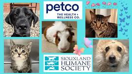 Petco Offsite Adoption Event