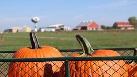 Pumpkinfest at Fair Oaks