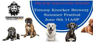 TommyKnocker Festival