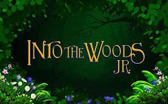 DTC Kids INTO THE WOODS JR