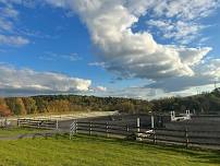 Horse Show Manager