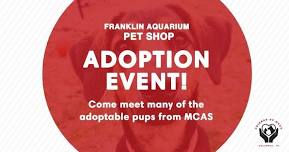 Franklin Aquarium Adoption Event!