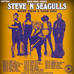 Steve'n'Seagulls