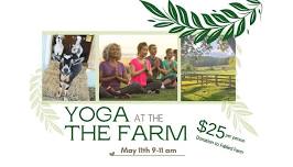 Yoga at the Farm