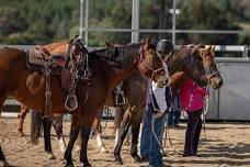 June 8th Youth Double Dan Horsemanship Clinic