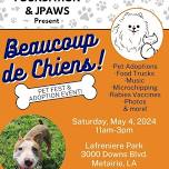 Beaucoup de Chiens (lots of dogs) Pet Festival