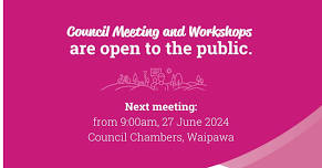 Council Meeting and Workshop