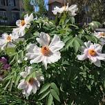 Trenton Horticultural Society Monthly Meeting @ Batawa Community Centre