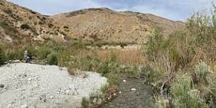 Whitewater Preserve field trip