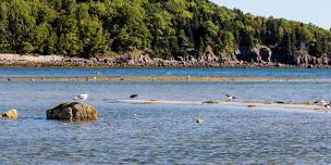 Bar Harbor School Committee Meeting