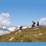 Clean-up Day in Andermatt