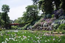 Odawara Castle Hydrangea and Iris Festival