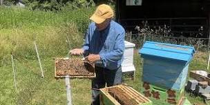 Bees and Butterflies - A Demonstration of the Art of Beekeeping