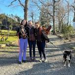 TAO DOG® Yoga-Hike Adventure: Talcott Mountain, Simsbury CT