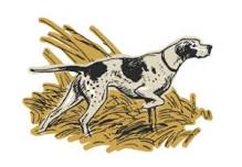 Mohawk Valley Chapter Bird Dog BBQ