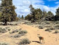 Tumulus Trail, Oregon Badlands!