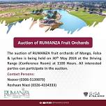 Auction of RUMANZA Fruit Orchard