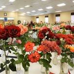 37th Annual Rose Show