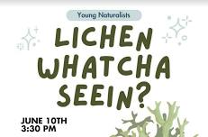 Young Naturalists: Lichens