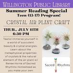 Teen Summer Reading Program: Crystal Air Plant Craft