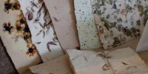 Paper Making with Plants