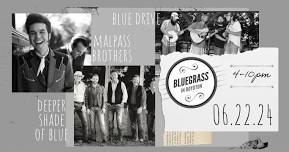 Bluegrass in Boydton 2024