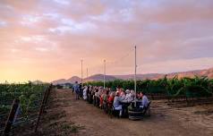 Jespersen Ranch Dinner