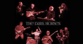 THE DARK HORSES perform the Music of George Harrison