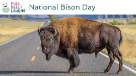 national bison day