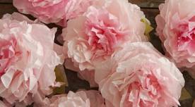 Coffee Filter Peonies and Dying Demonstration