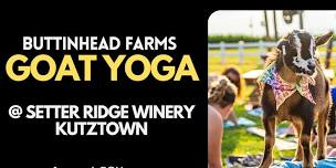 Baby Goat Yoga Snuggle & Sip at Setter Ridge Winery