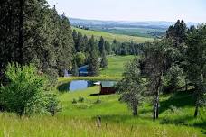 National Trails Day Penstemon Path Hike — Palouse Land Trust