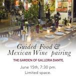 Guided Food & Mexican Wine pairing in the Garden