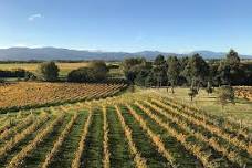 Winter Wine Gourmet and Scenic Pleasures of Marlborough: Group Tour Winter in New Zealand