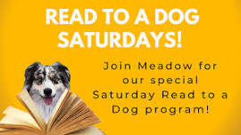 Read to a Dog: Meadow