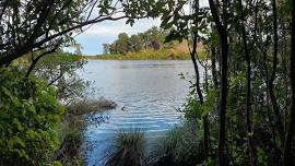 Westmere Lake