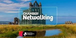 Netwalking at Whitby Abbey