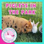 Piglets in the Park at Plucky Palomino Petting Zoo