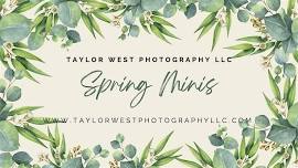 Spring Minis with Taylor West Photography LLC!