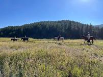 Volunteer Orientation & Horse Leader Training